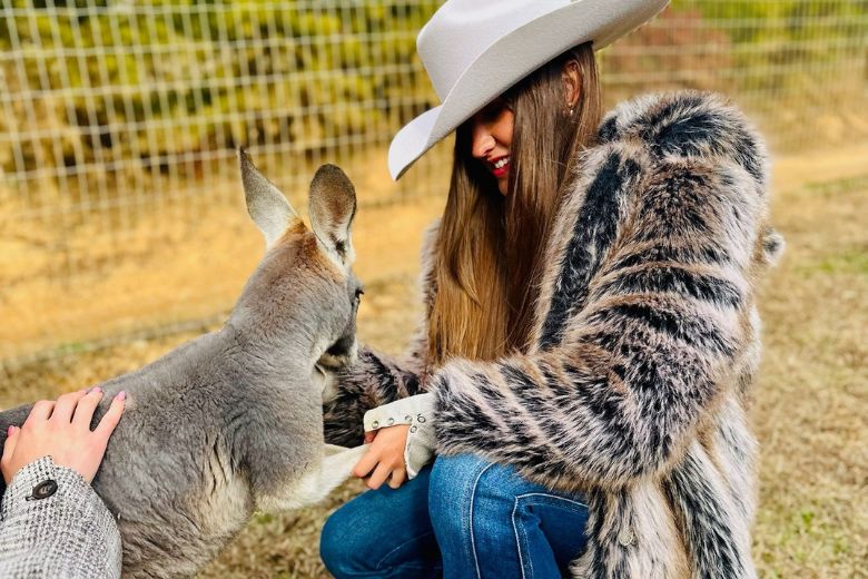Wild Adventures: Top 6 Animal Attractions in Pigeon Forge for Families